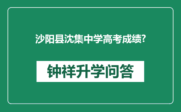 沙阳县沈集中学高考成绩?