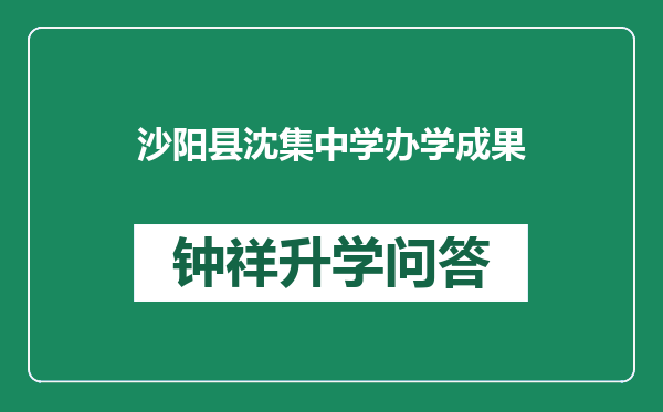 沙阳县沈集中学办学成果