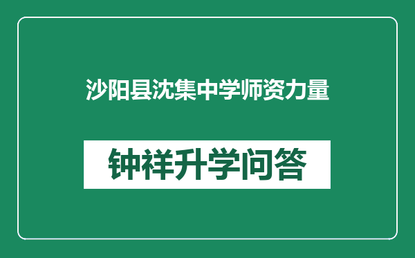 沙阳县沈集中学师资力量
