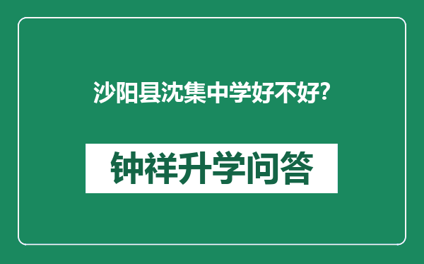 沙阳县沈集中学好不好？