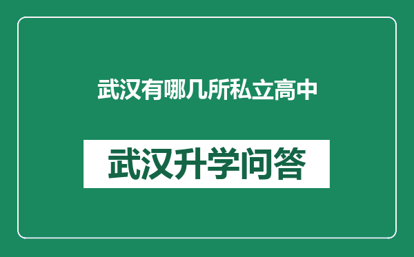 武汉有哪几所私立高中