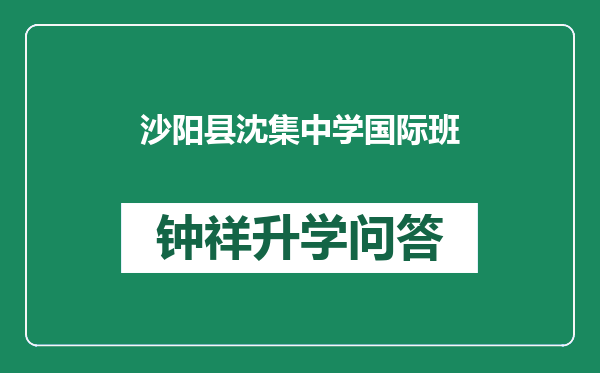 沙阳县沈集中学国际班