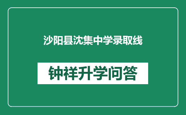 沙阳县沈集中学录取线