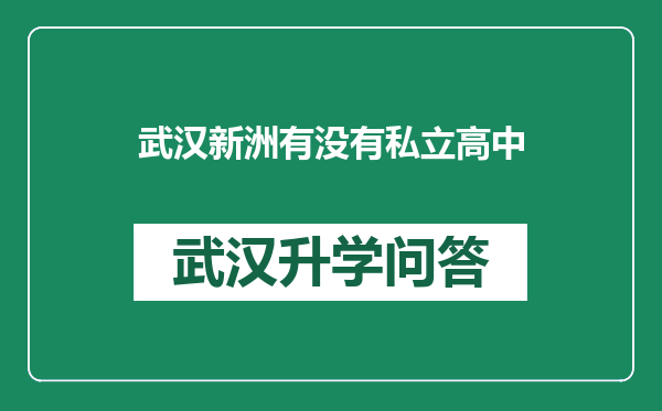 武汉新洲有没有私立高中