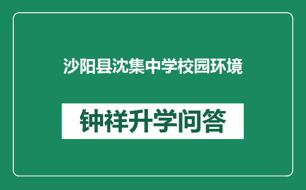 沙阳县沈集中学校园环境
