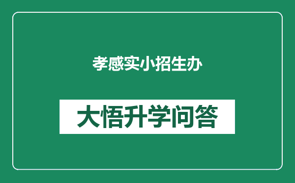 孝感实小招生办