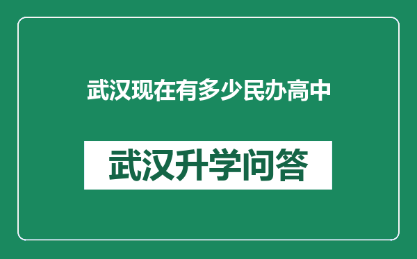 武汉现在有多少民办高中