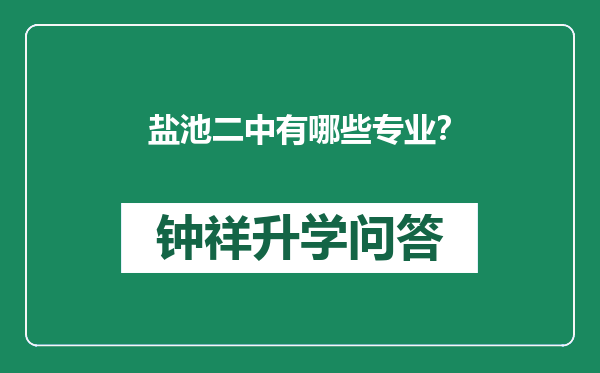盐池二中有哪些专业？