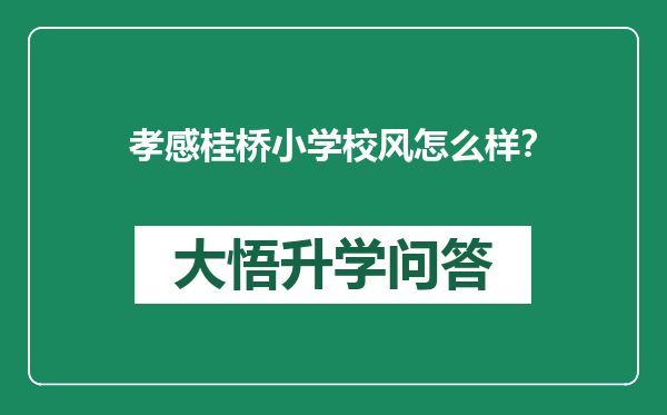 孝感桂桥小学校风怎么样？
