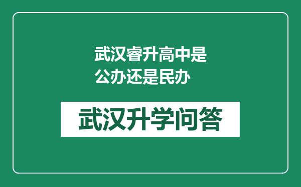 武汉睿升高中是公办还是民办