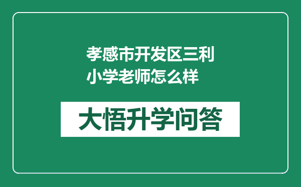 孝感市开发区三利小学老师怎么样