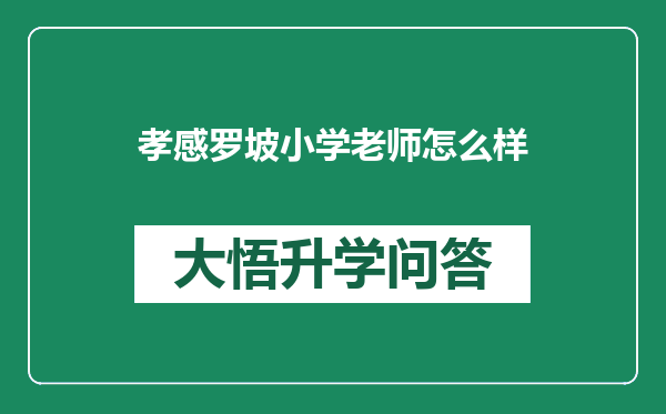 孝感罗坡小学老师怎么样