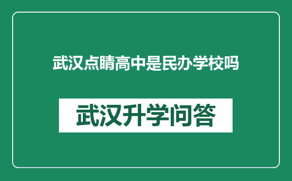 武汉点睛高中是民办学校吗