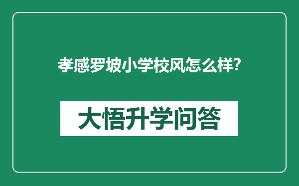 孝感罗坡小学校风怎么样？