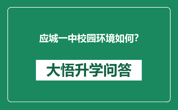 应城一中校园环境如何？