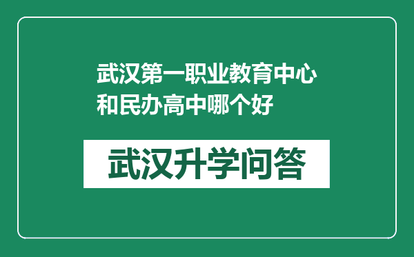 武汉第一职业教育中心和民办高中哪个好