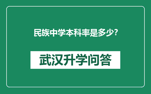 民族中学本科率是多少？