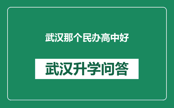 武汉那个民办高中好