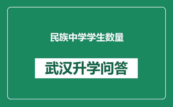 民族中学学生数量