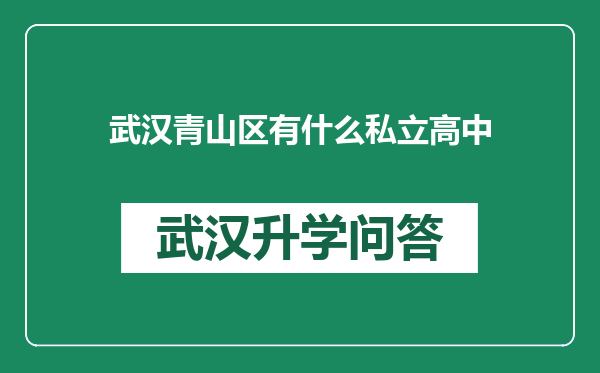武汉青山区有什么私立高中