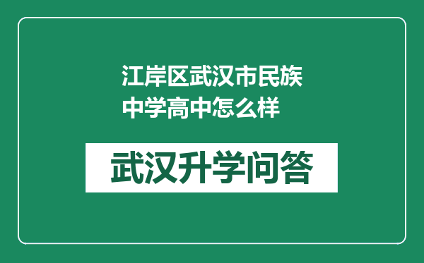 江岸区武汉市民族中学高中怎么样