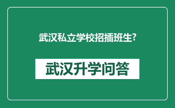武汉私立学校招插班生?