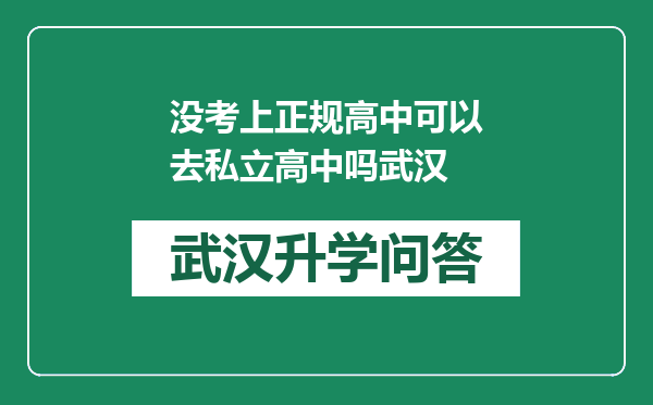 没考上正规高中可以去私立高中吗武汉