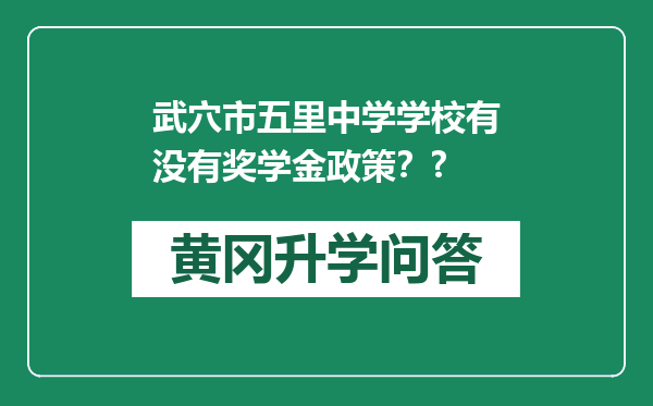 武穴市五里中学学校有没有奖学金政策？?