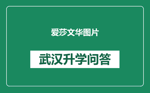 爱莎文华图片