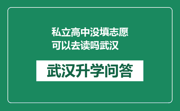 私立高中没填志愿可以去读吗武汉
