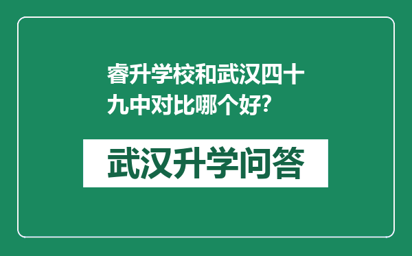 睿升学校和武汉四十九中对比哪个好？