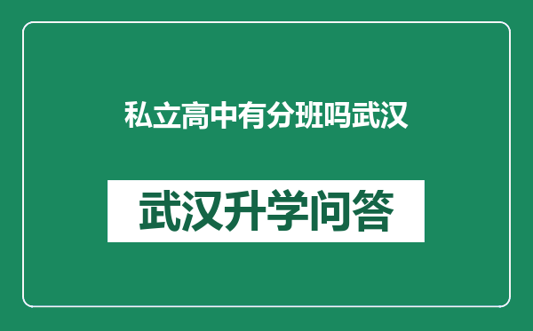 私立高中有分班吗武汉