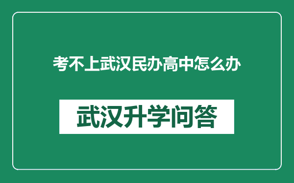 考不上武汉民办高中怎么办