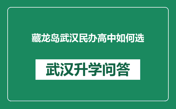 藏龙岛武汉民办高中如何选
