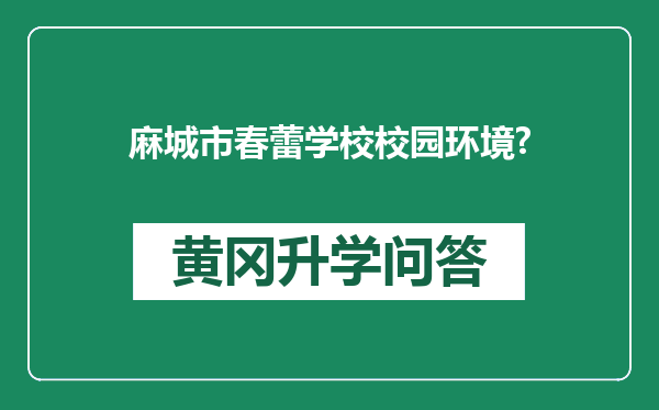 麻城市春蕾学校校园环境?