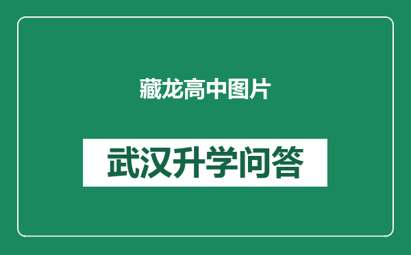 藏龙高中图片