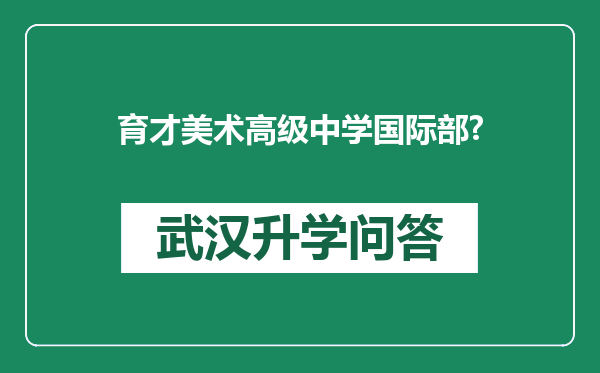 育才美术高级中学国际部?