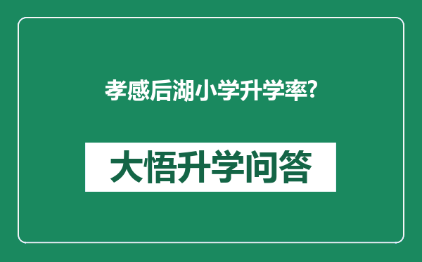 孝感后湖小学升学率?