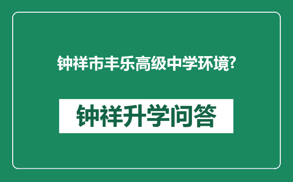 钟祥市丰乐高级中学环境?