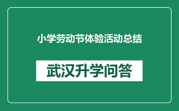 小学劳动节体验活动总结