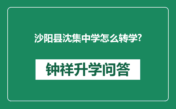 沙阳县沈集中学怎么转学?