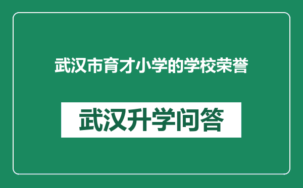 武汉市育才小学的学校荣誉