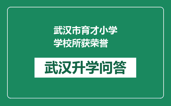 武汉市育才小学学校所获荣誉