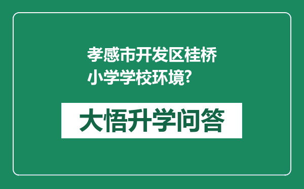 孝感市开发区桂桥小学学校环境?