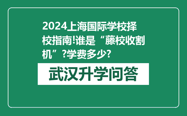 2024上海国际学校择校指南!谁是“藤校收割机”?学费多少?