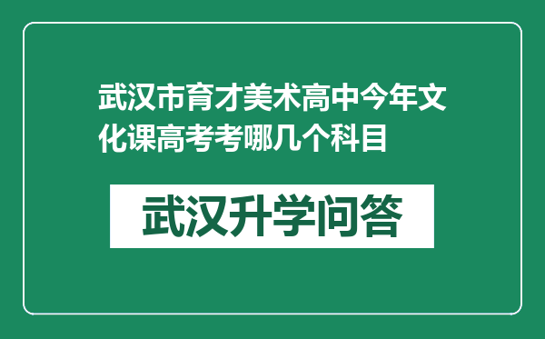 武汉市育才美术高中今年文化课高考考哪几个科目