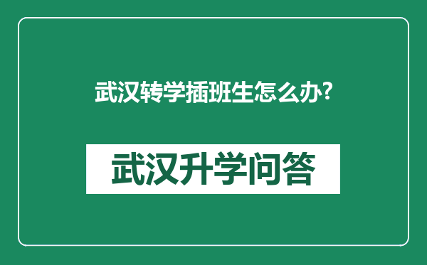 武汉转学插班生怎么办?