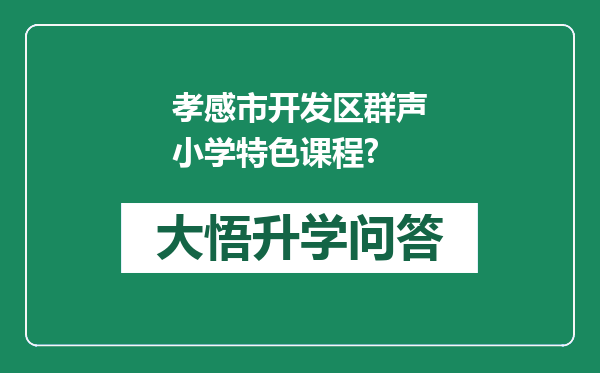 孝感市开发区群声小学特色课程?