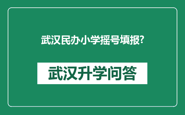 武汉民办小学摇号填报?