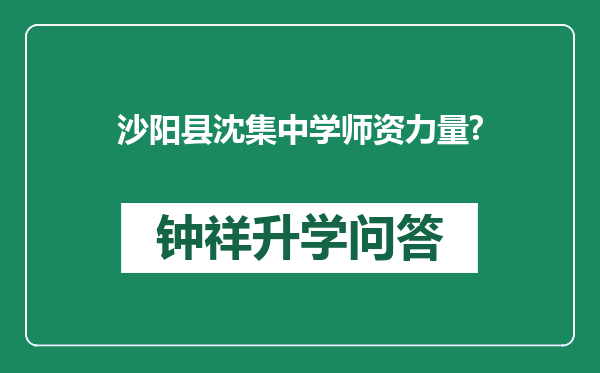 沙阳县沈集中学师资力量?